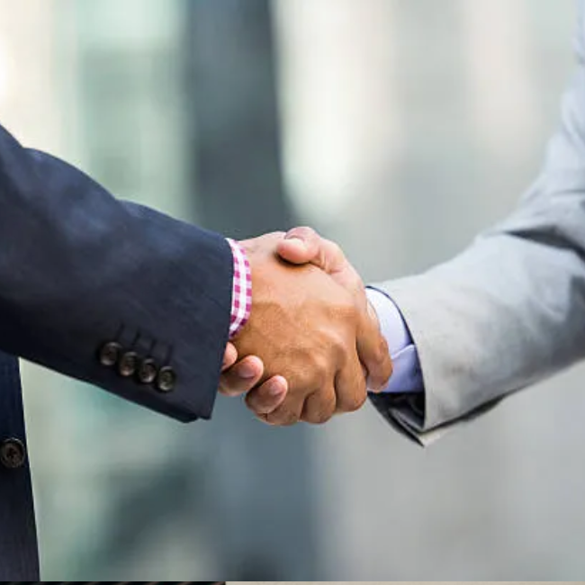 Consulting Services